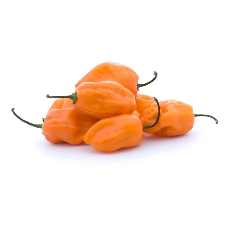 30 Semillas Chile Habanero Orange Naranja Nuevas Fertiles