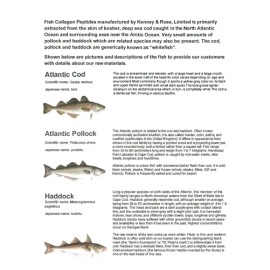 Aoratos Péptidos De Colágeno Marino 150 G, Sin Sabor                                                                                                  