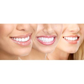 ShopINess Pack of Replacement Brush Heads Compatible - Sensiflex (Pack of 16)