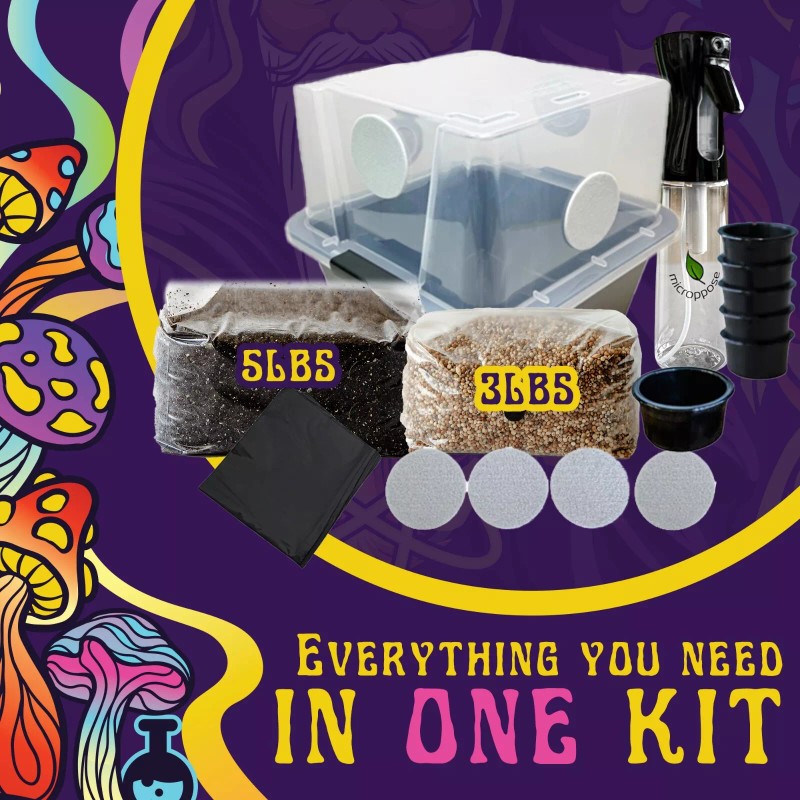 Spore Sorcery Small Beginners Mushroom Grow Kit | Indoor Grow
