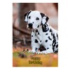 Dalmatian Birthday Card