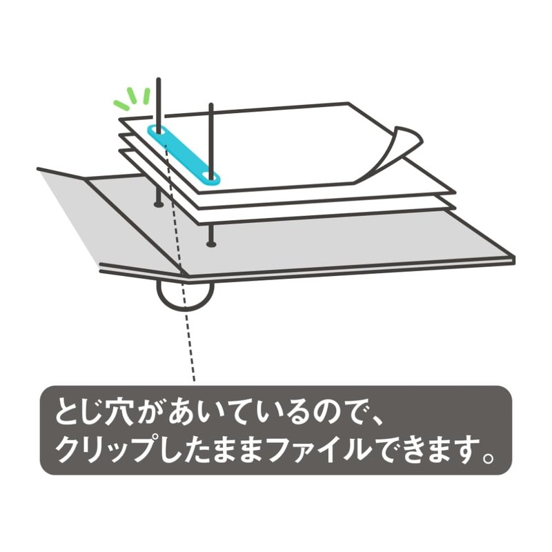 Debika 63212 Filing Paper Fasteners, Regular Version + Thick Binding