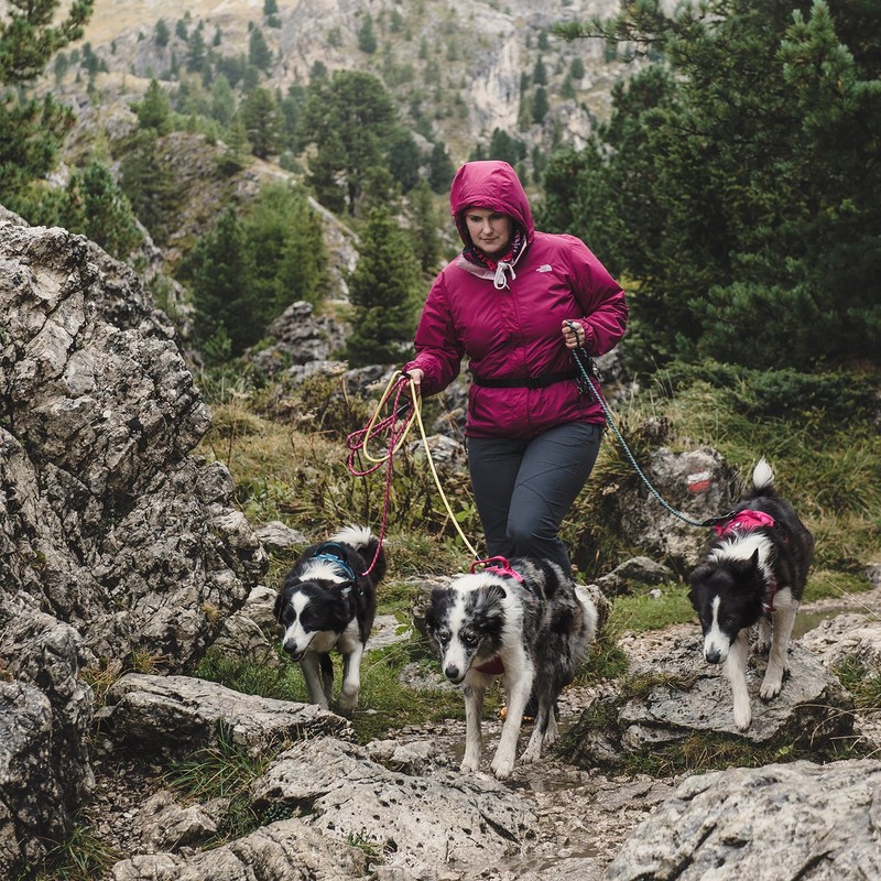 Hurtta Active Dog Harness, Raven, 39-47 in