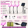 Solar Flamingo Garden Lights for Outdoor Decor – IP65 LED