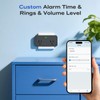 Power Failure Alarm WiFi, Newest Smart Power Outage Alarm with