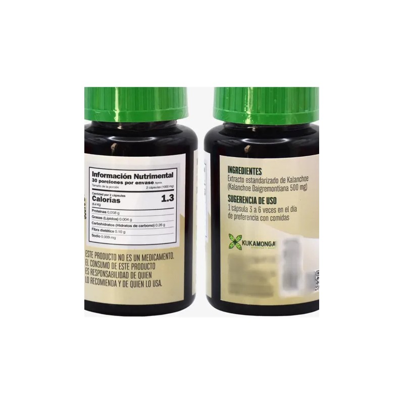 Resveratrol + Kalanchoe | Antioxidante E Inmunidad | Momosie