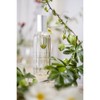 Provence Sante Eau de Toilette Spray - Luxury Long-Lasting Fragrance