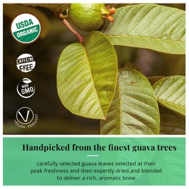 75 Organic Guava Leaf Tea Bags, Pure Guava Tea, Guava leaves, Te de Hojas De Guayaba, Loose Leaf Guava Tea, No Sugar, No Caffeine, No Gluten, Vegan, Non-GMO