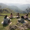 Armenian Herbal Tea No. 15 – Evening Light | Tranquil