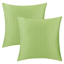 The White Petals Set of 2 Light Green Euro Pillow Sham Covers with Pin Tucks Panel (26X26 inches, Light Green)