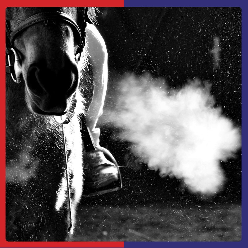 Equine America Airways Xtra Strength Premium Ready To Use Horse
