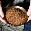 500g Organic Daliang Mountain Black Tartary Buckwheat Tea Herbal Tea