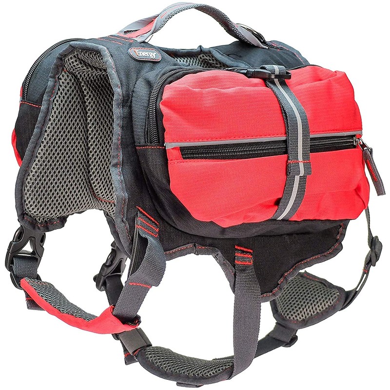 iEnergy™ MAL Dog Backpack and iEnergy™ GEM, Deluxe Sport Leash