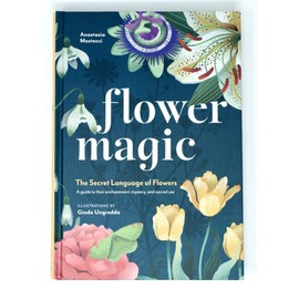 Flower Magic: The Secret Language of Flowers