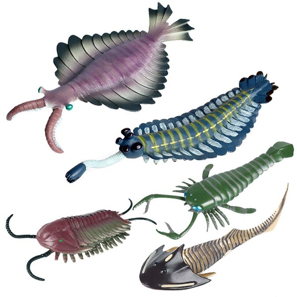 JOKFEICE Animal Figures 5 pcs Realistic Plastic Cambrian Ancient Organism