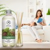 Reed Diffuser Refill Cedarwood 17 Fl Oz (500ml) - Scented