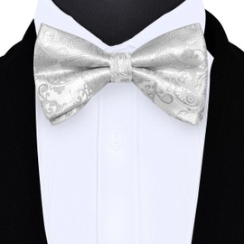 GUSLESON Mens Silver Bow Tie for Wedding Pre-Tied Adjustable Paisley Bowties for Business Party (0496-27)