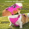 VOOPET Escape Proof Dog Harness, Soft Padded Full Body Pet