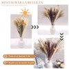 HONGHCL Pampas Decorativas Secas 120pcs - Plantas Naturales Suaves y