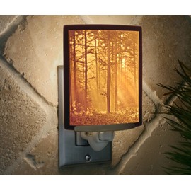 The Porcelain Garden Porcelain Lithophane Trees Night Light Woodland Sunbeams, Decorative Wall Plug in for Nursery, Bedroom, Kitchen, Bath, Hallway Nature Themed Accent Light