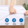 Hygea Natural Queen size Mattress Cover, Bed Bug Proof &