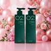 Mongul Cloud Partners Amos Green Tea Realistic Shampoo Seborrheic Scalp