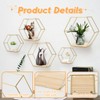 LMYDIDO Set of 5 Hexagon Wall Shelves, Hanging Shelves, Metal