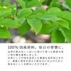 Tea Tsumi no Sato Japanese Persimmon Leaf Tea Bag 0.1