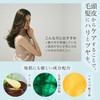 PFINÉS Euphoria Euphoria Shampoo Treatment Set