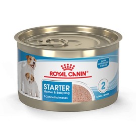 Royal Canin Size Health Nutrition Small Mother & Babydog Starter Mousse in Sauce Wet Dog Food, 5.1 oz can (24-count)