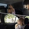 Car Side Window Sun Shade, Sun Shades for Car Windows,