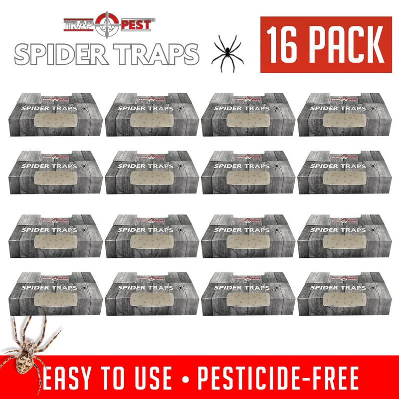 Spider Traps for Inside Your Home (16 Traps) - Spider
