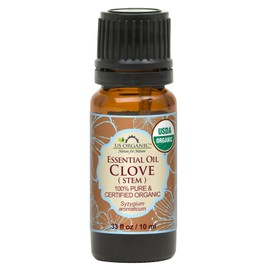 US Organic 100% Pure Clove Stem Essential Oil - USDA Certified Organic, Steam Distilled (10 ml)