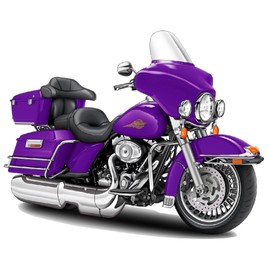 Electra Glide Wall Decal 2ft Long Sport Harley Davidson Bike Motorcylce Sticker Man Cave Garage Boys Room Decor