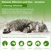 Cat Calming Diffuser Plug in Kit - 6 Pack Pheromone