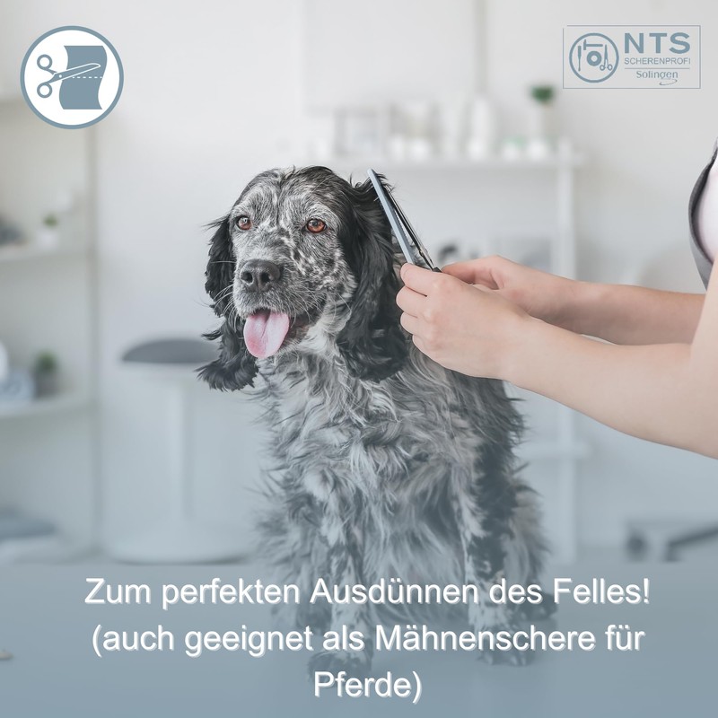 NTS-Solingen Dog Scissors / Grooming Scissors - Dog Pet Line