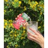 Nixie Sparkling Water, Pomegranate Green Tea | 12 fl oz