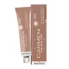 Carmen Hair Colour in Platinum Tone P02 Natural Iridescent