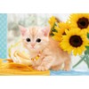 Epoch 108 Piece Jigsaw Puzzle, Cat Natsumi 7.2 x 10.0