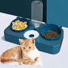 Cat Food and Water Bowls Set, Dog Cat Bowl with