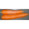 Heirloom Carrot Seed Assortment- 7 Varieties- Over 2,000 Seeds