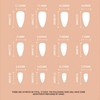 24pcs Long Coffin False Nails Multicolor Stick on Nails Pink