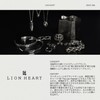 Lion Heart LH-1 Comfort Chain Bracelet, Surgical Stainless Steel (Hypoallergenic),