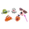By Bers Glasses Holder Die _Vogel-Design Hand-Painted Animal Real Funny
