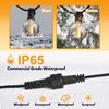 cshare Extension Cords for String Lights Inflatable Decorations, 2 Pin