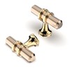 FURNIWARE Pack of 10 Cabinet Knobs Pulls Handles, Drawer Pulls