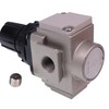 Czomoizc REG0250M Air Compressor Regulator Compatible with ROLAIR 1/4" DEWALT