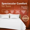 TEXAS LINEN CO. Luxury Egyptian Cotton King Size Sheet Set