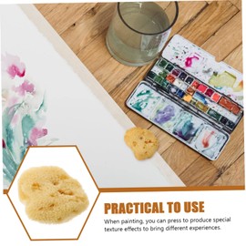 Operitacx Painting Texture Sponge Facial Sponge Ceramics Tools Art Painting Sponge Sea Sponges for Artists Eraser Sponge Craft Paint Tools Watercolor Texture Tool Accessories Natural Child