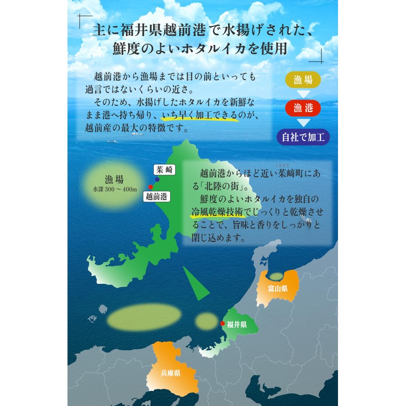 Firefly Squid Dry (7.1 oz (200 g) (3.5 oz (100